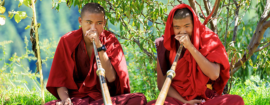 Culture and Rituals