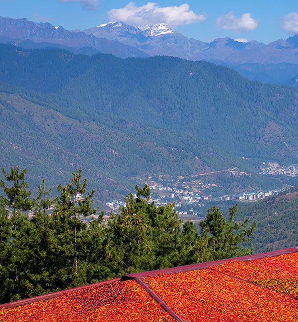 Phuentsholing