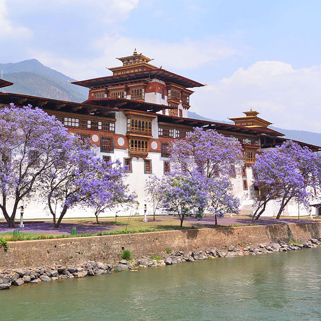Honeymooners Tours