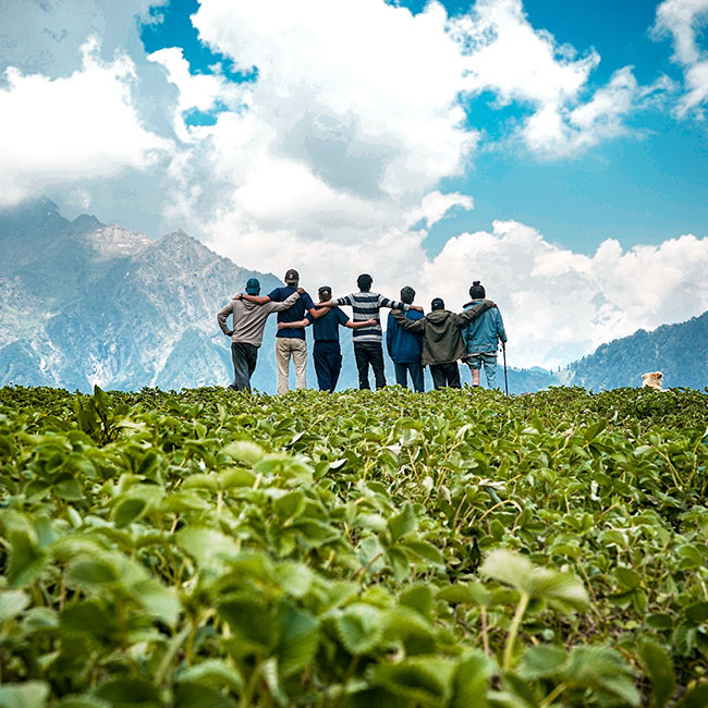 Groups Tours